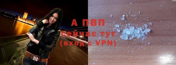 прущие грибы Дмитровск
