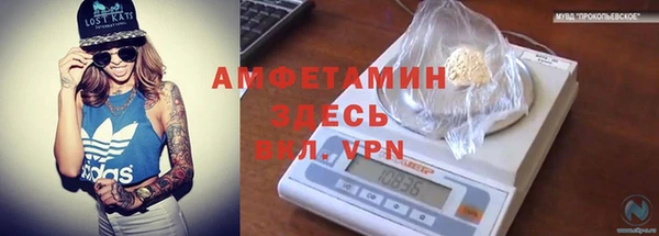 прущая мука Дмитриев