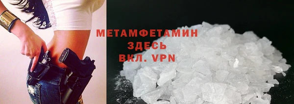 прущие грибы Дмитровск