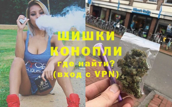 прущая мука Дмитриев