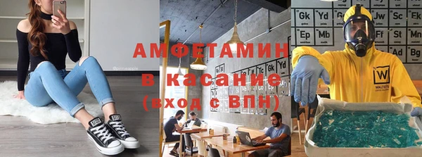 прущие грибы Дмитровск
