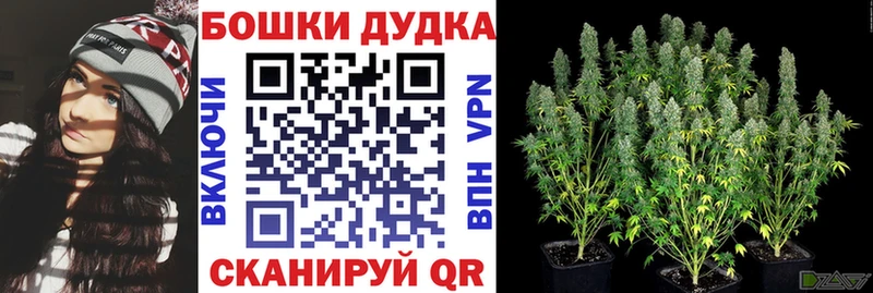 Шишки марихуана SATIVA & INDICA  Купить  Монино 